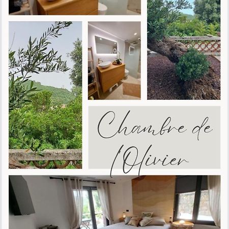 Chambre De L Olivier Taradeau Kültér fotó