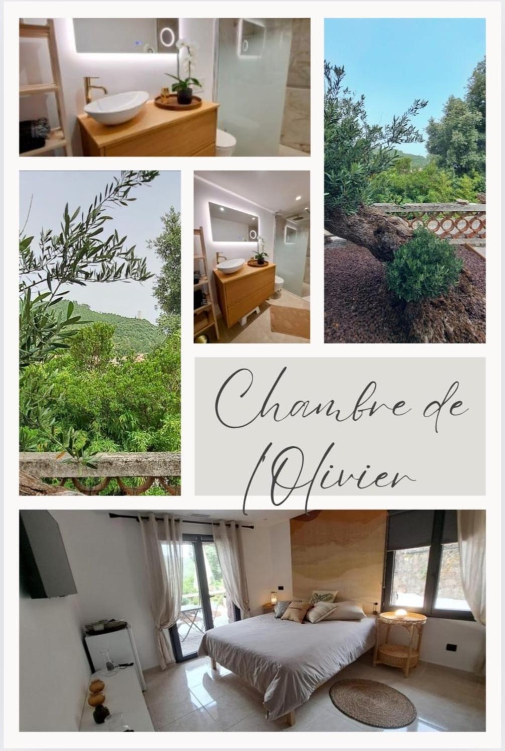 Chambre De L Olivier Taradeau Kültér fotó